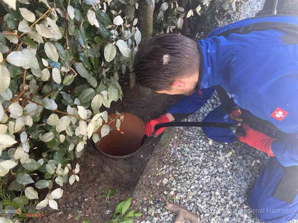 Rioolvliegjes Haarlem Rioolvliegjes Haarlem